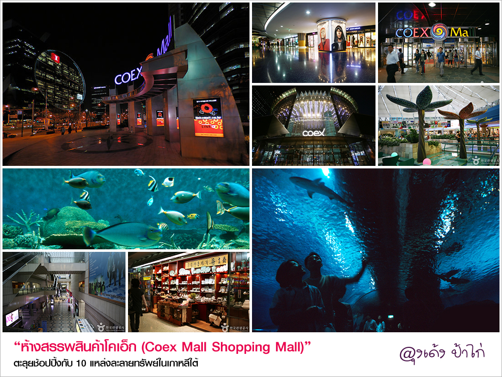 09_coexmall_shoppingmall