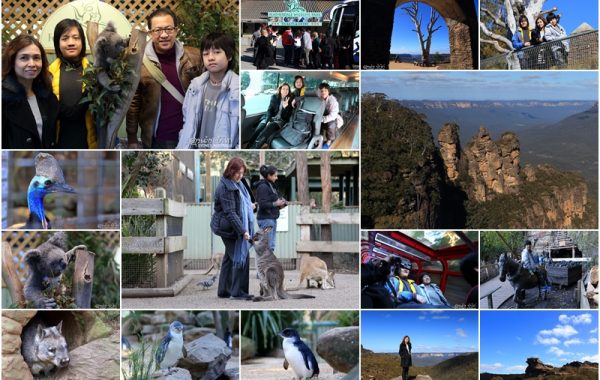 “9 วันในซิดนีย์” ตอน 6 Featherdale wildlife park และ Scenic World Blue Mountains @ ออสเตรเลีย