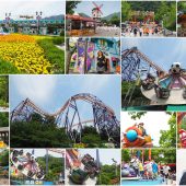 Seoul Land สวนสนุกในฝันของเด็กน้อย