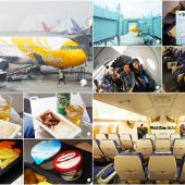 Uncle Deng and Auntie Kai’s Journey on Scoot Airlines