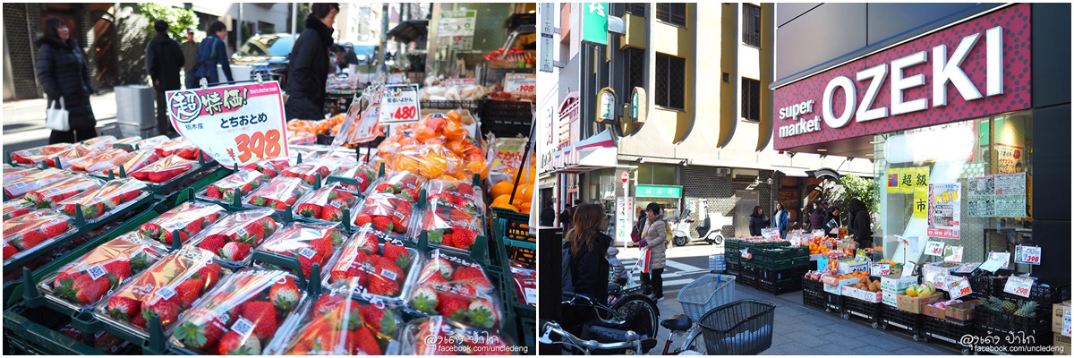 สตอเบอรี่ ญี่ปุ่น