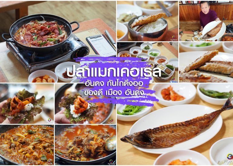 ปลาแมกเคอเรล ของดี เมือง อันดง