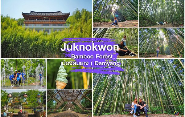 สวนป่าไผ่ Juknokwon Bamboo Garden