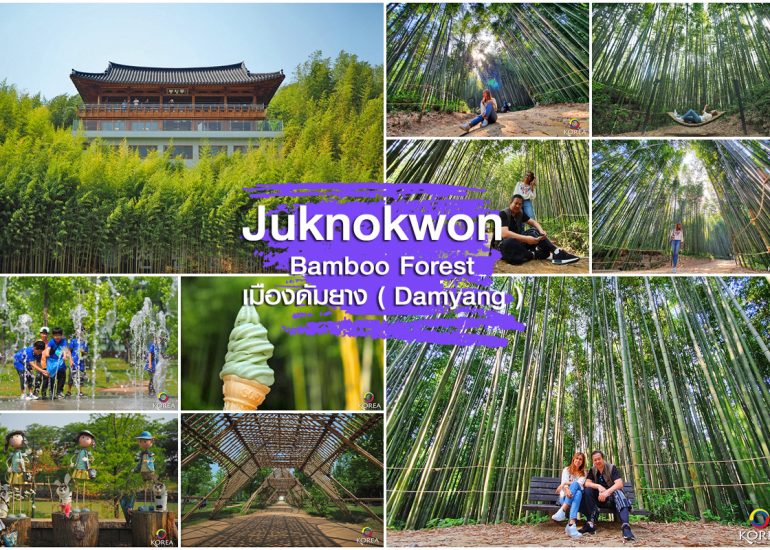 สวนป่าไผ่ Juknokwon Bamboo Garden