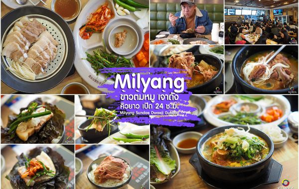 Milyang ข้าวต้มหมู ปูซาน เจ้าดัง แฮอุนแด