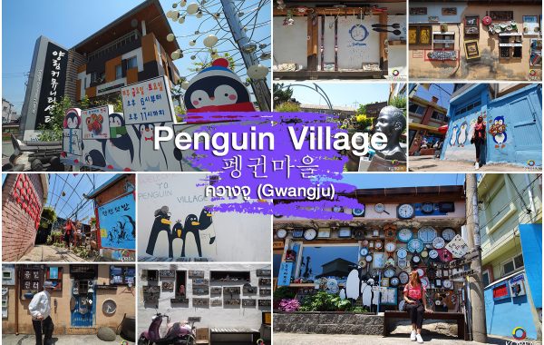 หมู่บ้านเพนกวิน มุมเล็ก ใน ควางจู