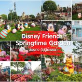 Carnivale of Stars ฮ่องกง ดิสนีย์แลนด์