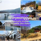 Woryeonggyo Bridge เมือง อันดง