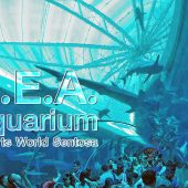 S.E.A Aquarium Sentosa สิงคโปร์