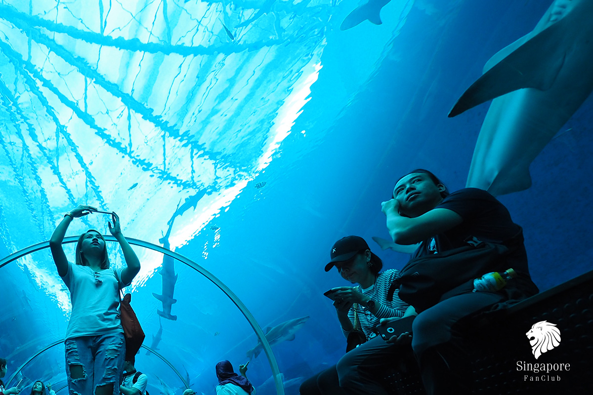 S.E.A Aquarium Sentosa สิงคโปร์ - รีวิว By ลุงเด้ง ป้าไก่