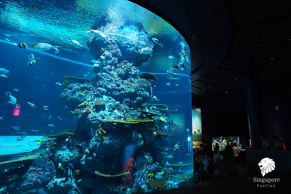 รีวิว SEA Aquarium