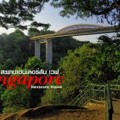 สะพานเฮนเดอร์สัน เวฟ : Henderson Waves