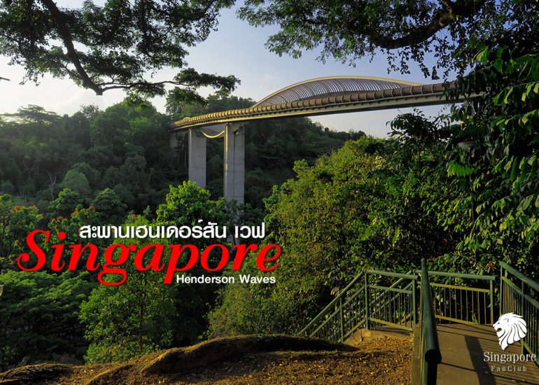 สะพานเฮนเดอร์สัน เวฟ : Henderson Waves