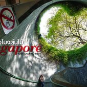อุโมงค์ต้นไม้ สิงคโปร์ Fort Canning Park