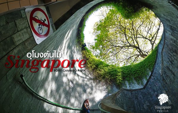 อุโมงค์ต้นไม้ สิงคโปร์ Fort Canning Park