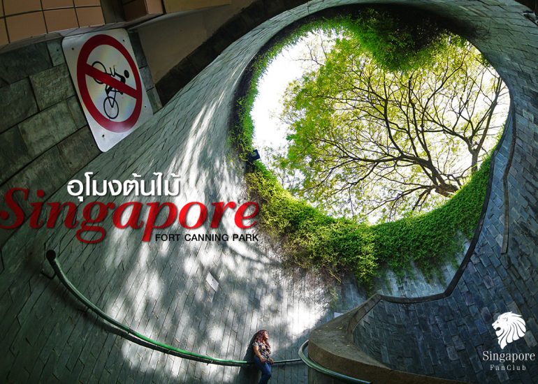 อุโมงค์ต้นไม้ สิงคโปร์ Fort Canning Park