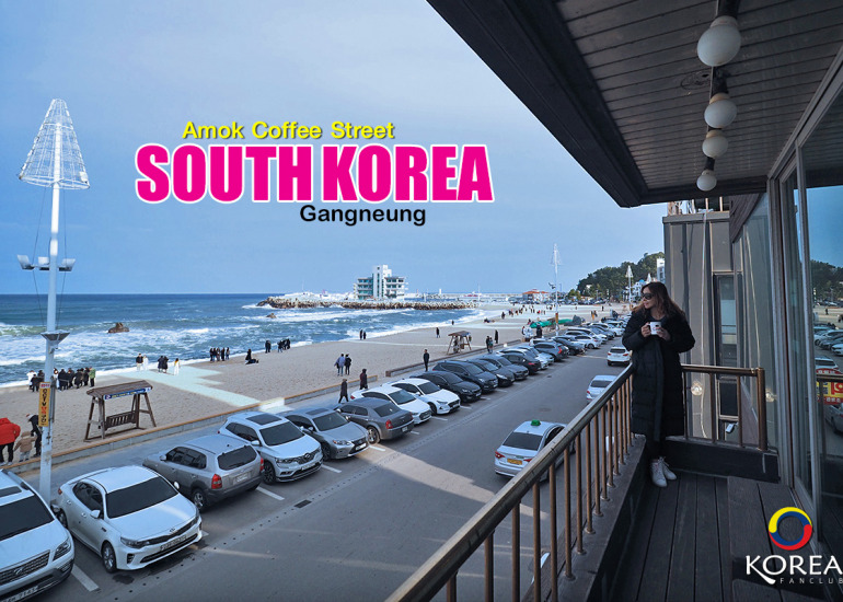 ถนนสายกาแฟ คังนึง (Anmok Beach)