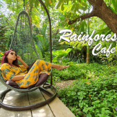 Rainforest Cafe กาญจนบุรี : เรนฟอร์เรสท์ คาเฟ่
