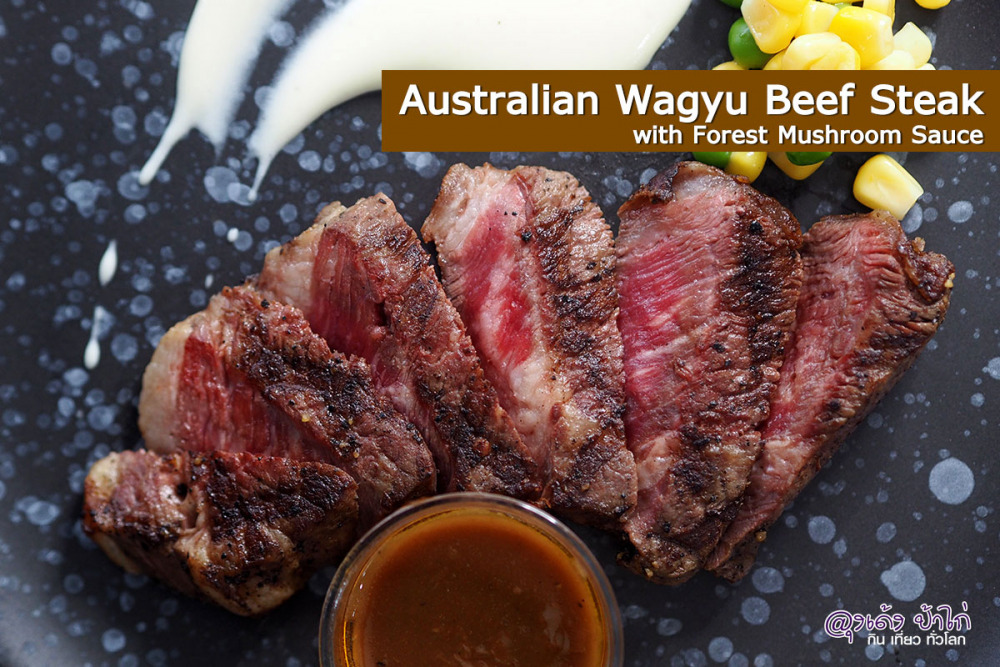 คอปเปอร์ Copper2Go