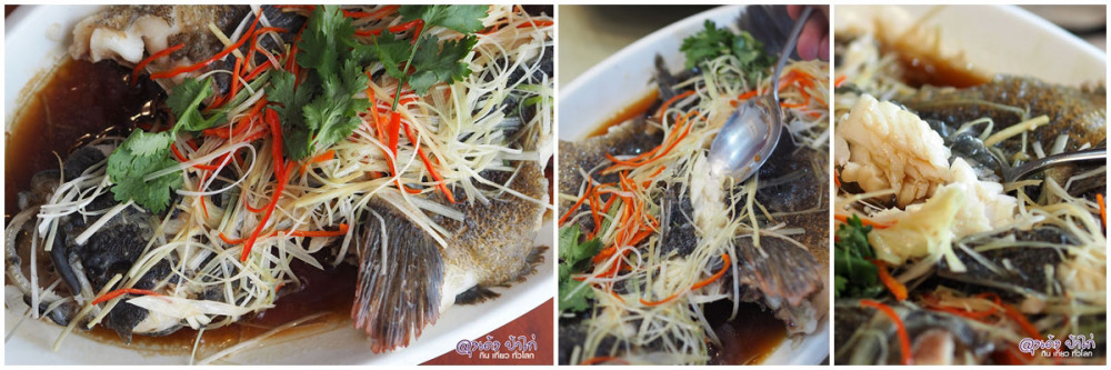 เฉาเซียง