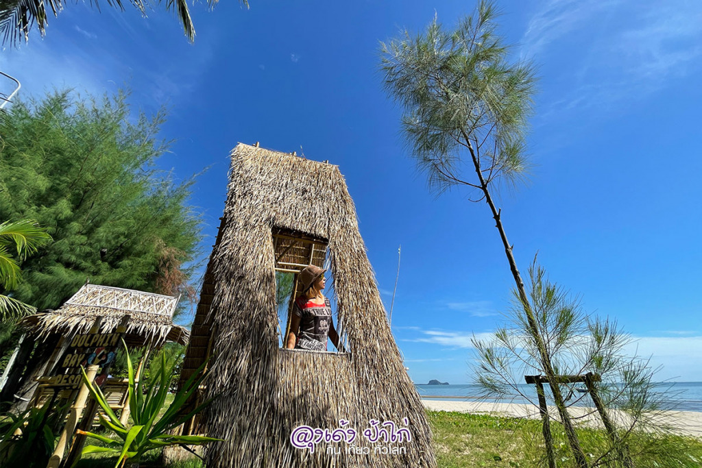 Dolphin Bay Resort สามร้อยยอด ปราณบุรี รีวิว by ลุงเด้ง ป้าไก่