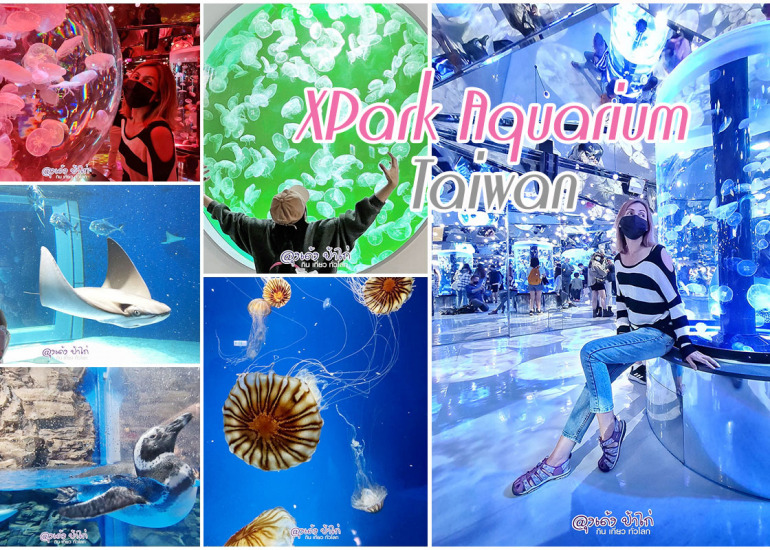 XPark Aquarium Taiwan