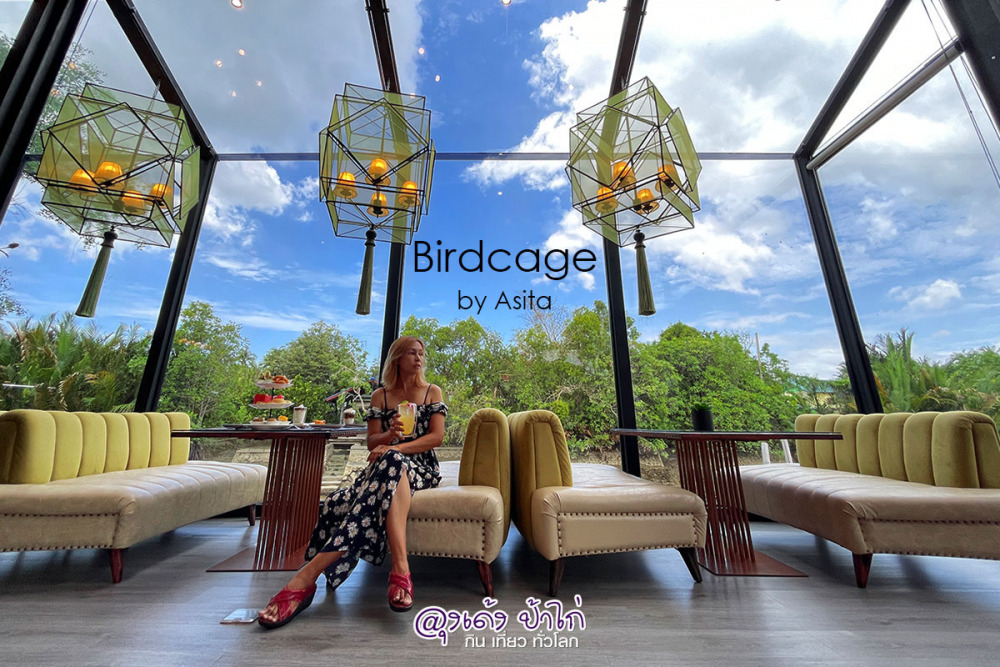Birdcage by Asita