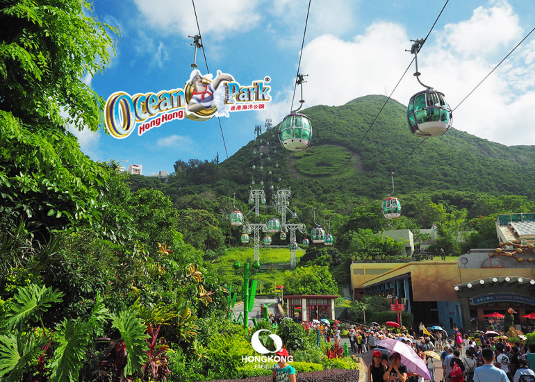 Ocean Park Hong Kong : Panda Christmas Carnival โอเชี่ยนปาร์ค